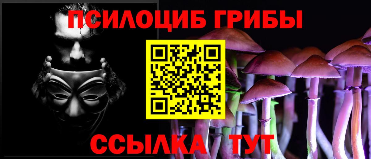 Свободный  Псилоцибиновые грибы MAGIC MUSHROOMS  Вход с VPN 